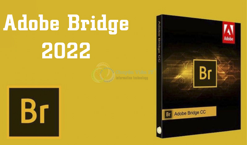 Hướng dẫn tải và cài đặt phần mềm Bridge 2022