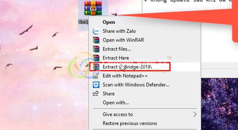 Adobe Bridge 2019