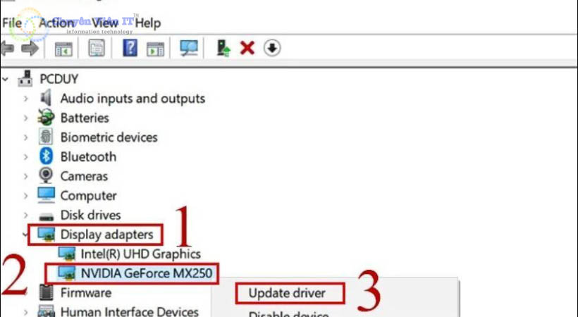 Chọn Display adapter. Sau đó bấm chuột phải vào mục NVIDIA GeForce MX250 và chọn vào mục Update Driver.