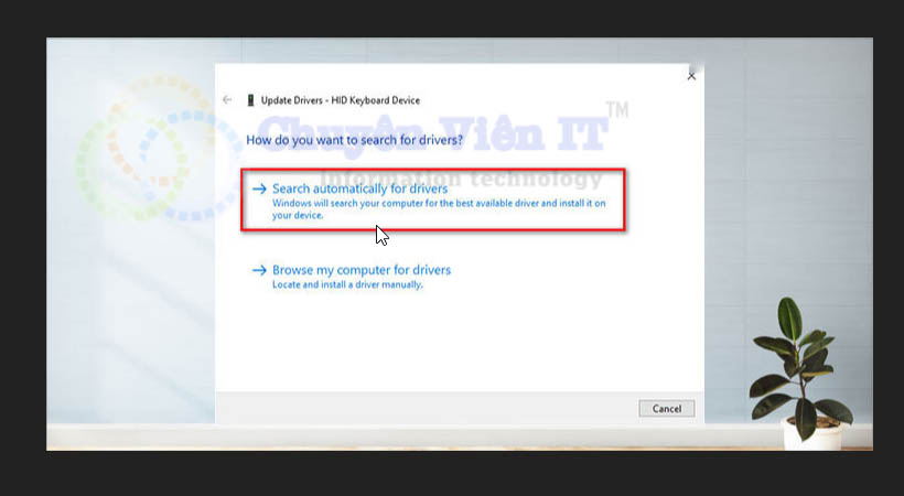 Search automatically for drives
