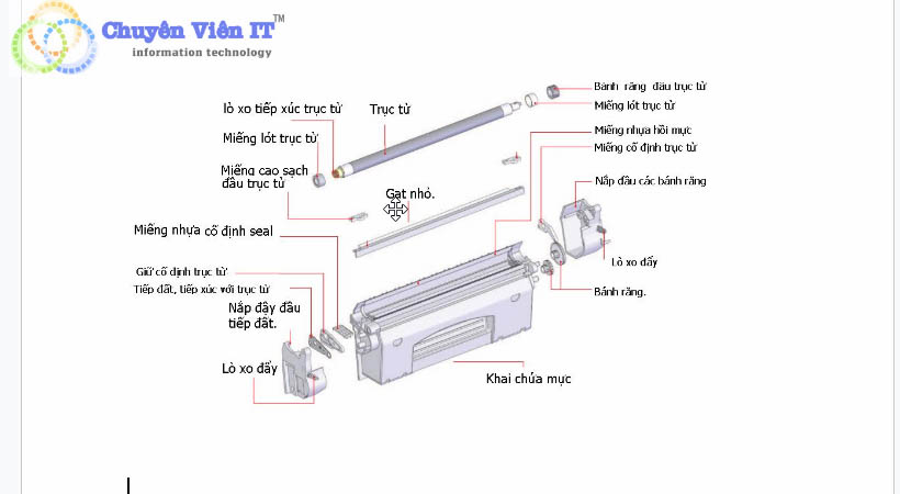 Cấu tạo của trống 